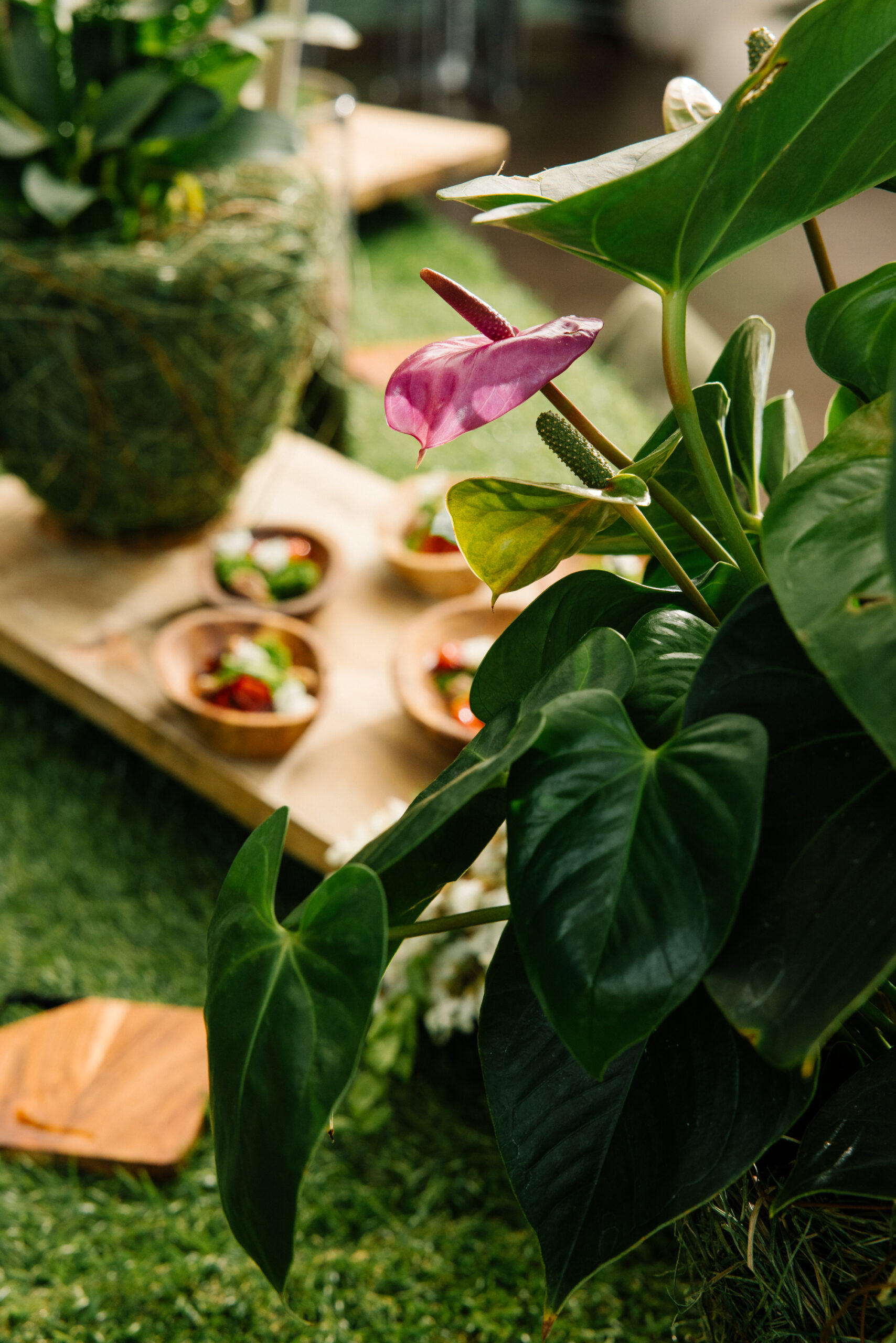 1P0A7186 Avada Catering