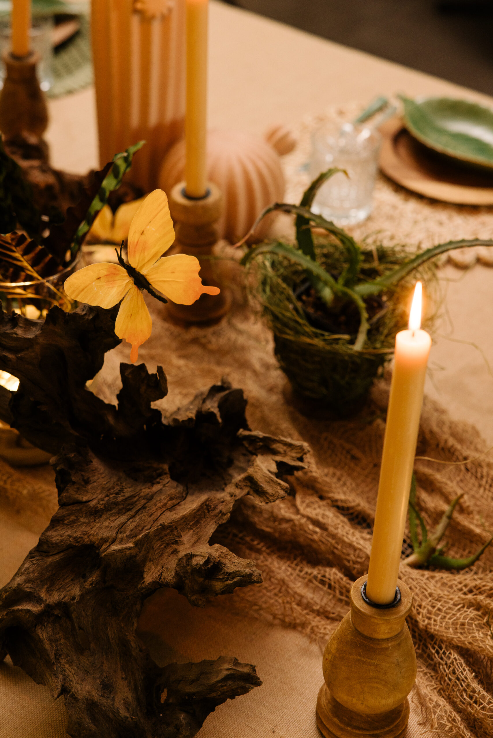 1P0A7751 Enjoyable Food